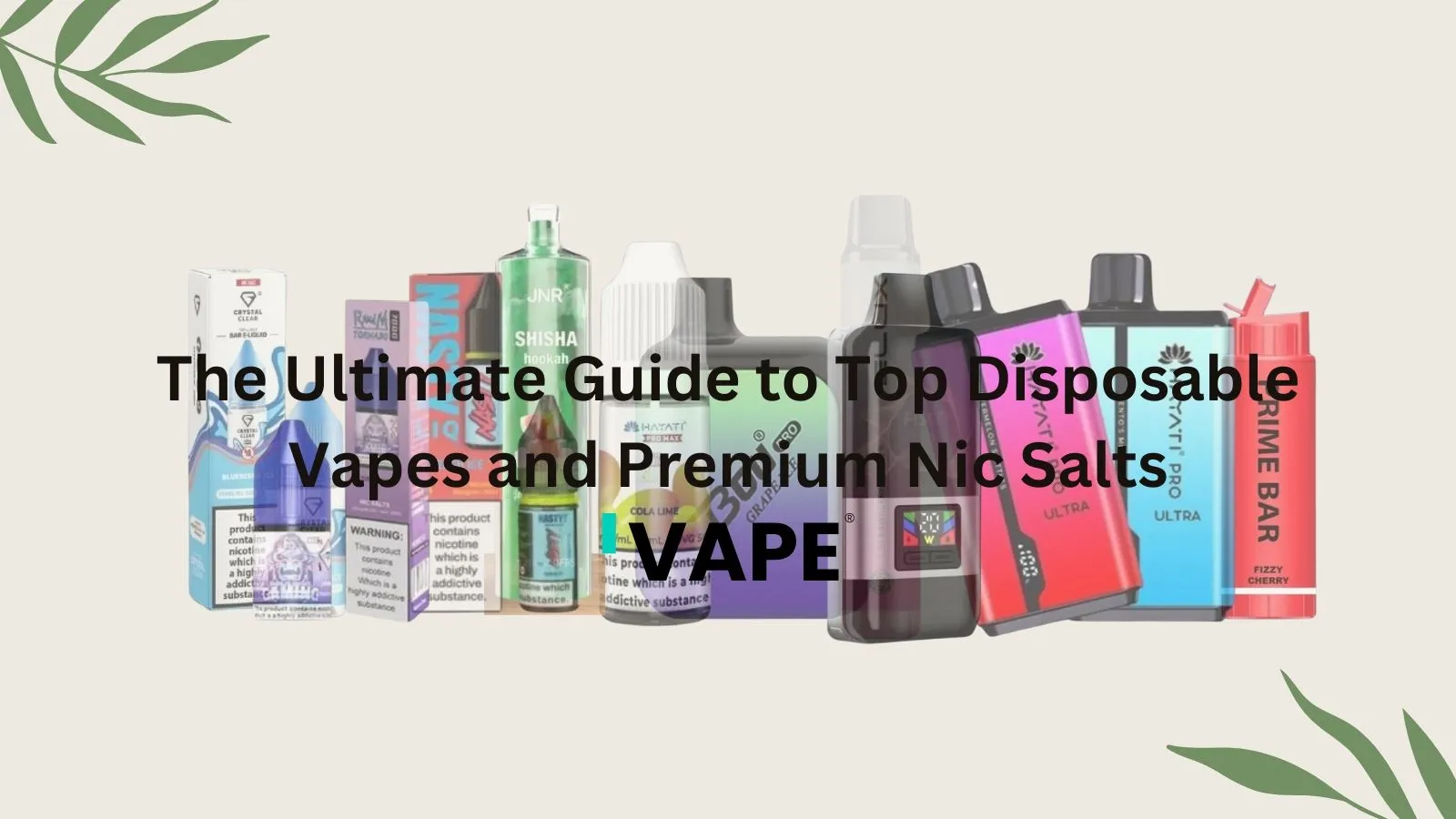 The Ultimate Guide to Top Disposable Vapes and Premium Nic Salts