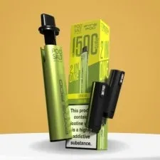 Pyne Pod 2-in-1 1500 Puffs Pod Kit