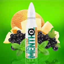 Box of 10 Riot Squad 100% Menthol Range 50ml Shortfill E-liquid